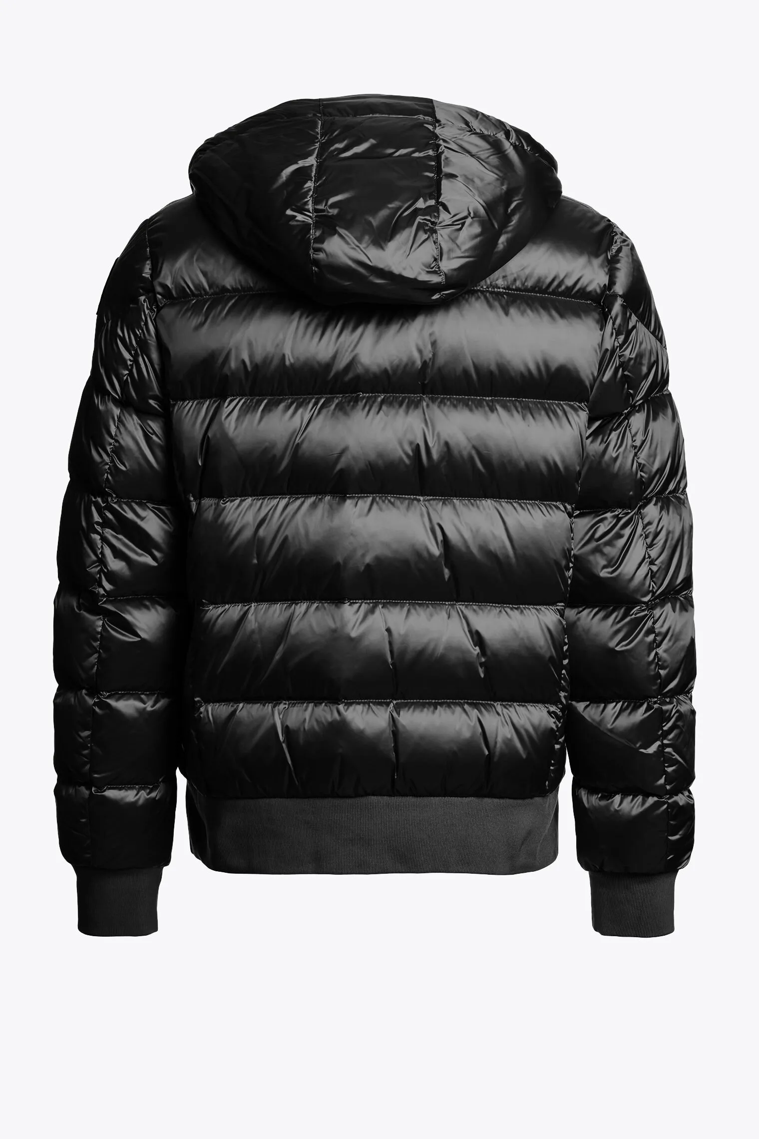 PHARRELL - BOMBER À CAPUCHE*Parajumpers New